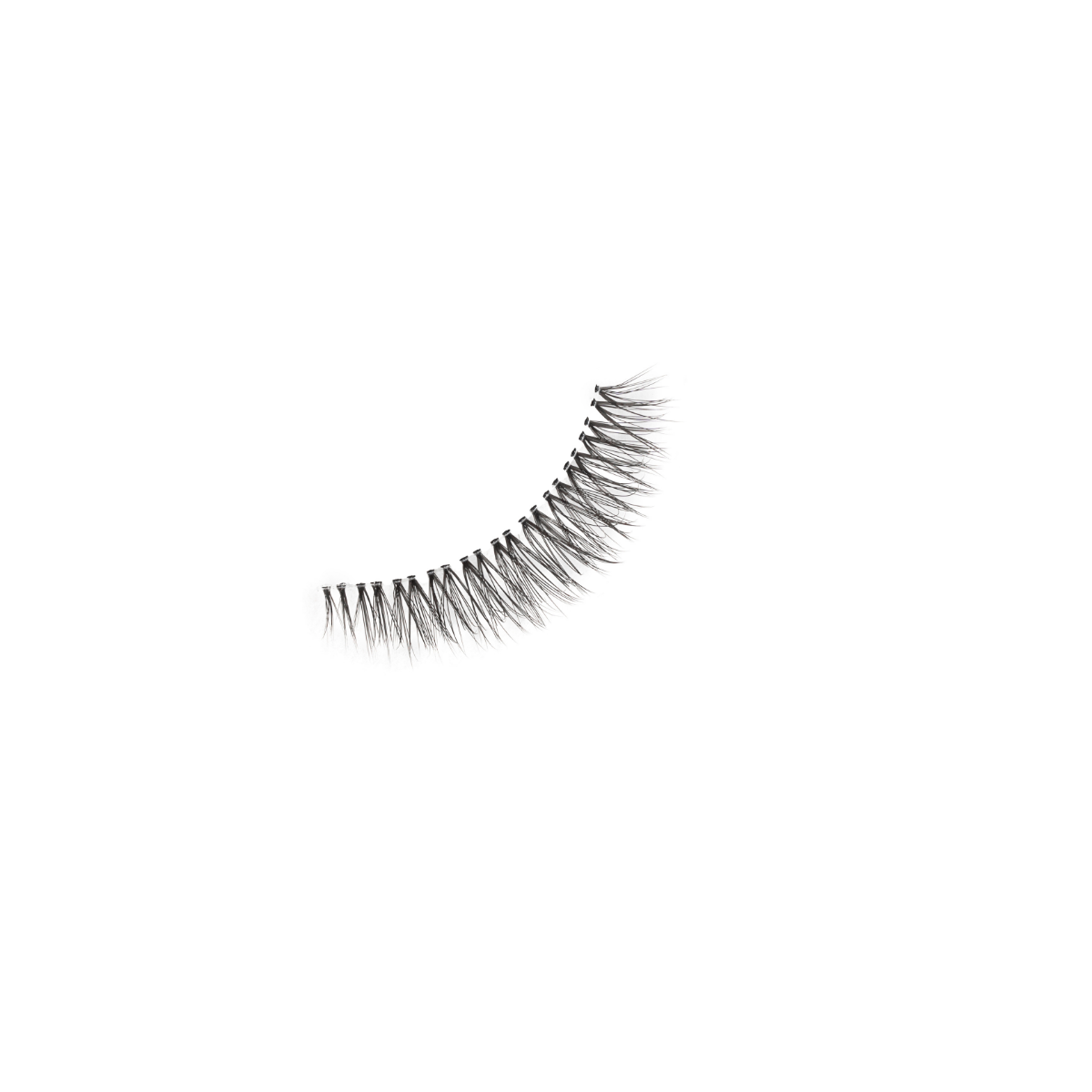 Pop Quiz - FGB Lashes